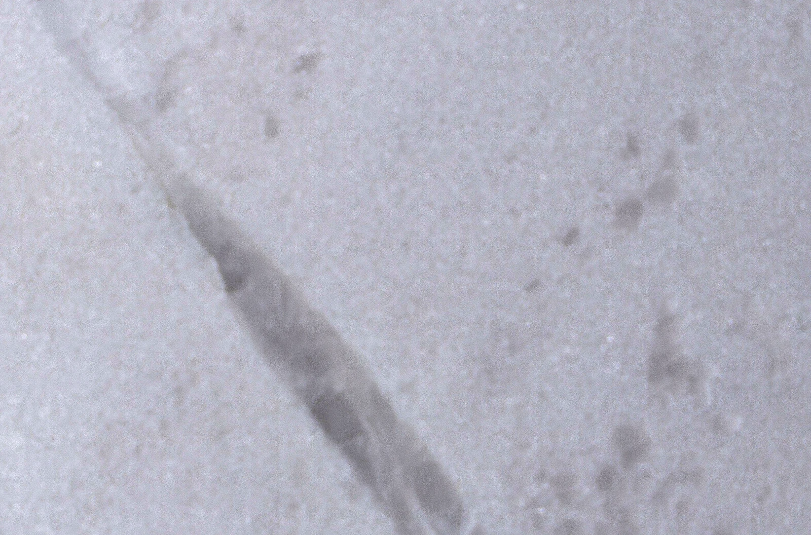Bianco — surface detail